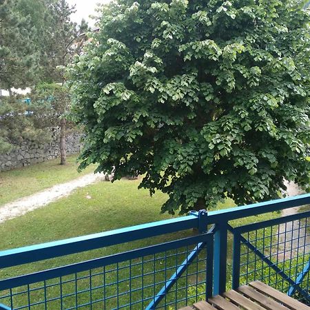 Duplex Lumineux - 40M2 - 2 Chambres - Balcon Terrasse - Parking - Entierement Renove En Mai 2024 Cauterets Exterior foto
